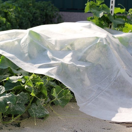 Агроволокно Growtex 30г/м2 3.2м х 50м Біле