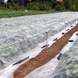 Агроволокно Growtex 30г/м2 3.2м х 50м Біле