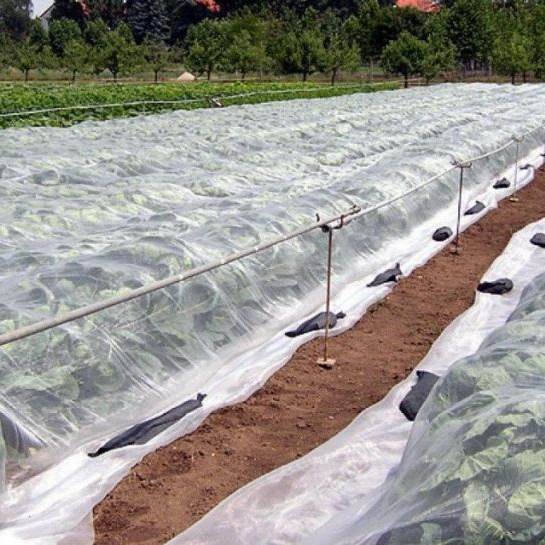 Агроволокно Growtex 50г/м2 3.2м х 50м Біле