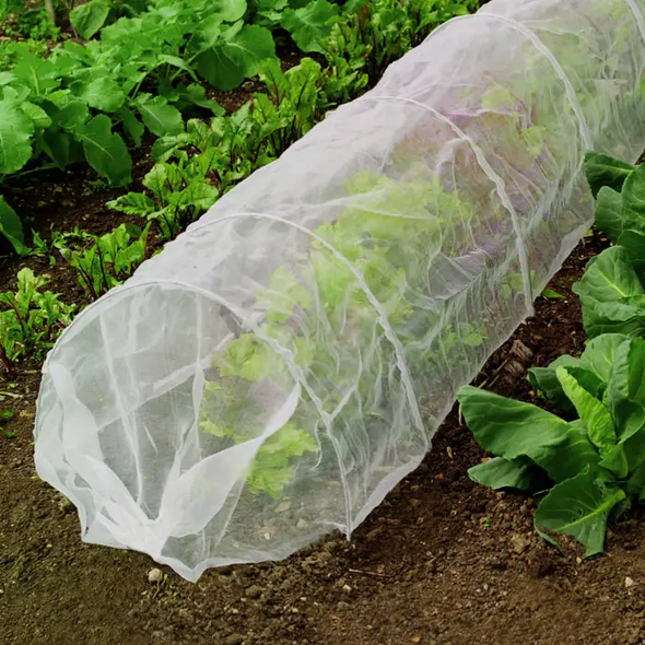 Агроволокно Growtex 50г/м2 3.2м х 50м Біле