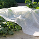 Агроволокно Growtex 50г/м2 3.2м х 50м Біле