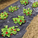Агроволокно Growtex 50г/м2 3.2м х 10м Чорне